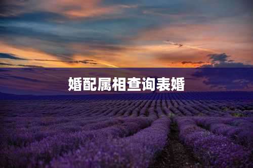 婚配属相查询表婚
