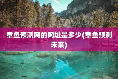 章鱼预测网的网址是多少(章鱼预测未来)