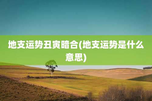 地支运势丑寅暗合(地支运势是什么意思)