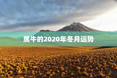 属牛的2020年冬月运势