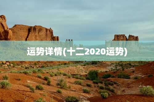 运势详情(十二2020运势)