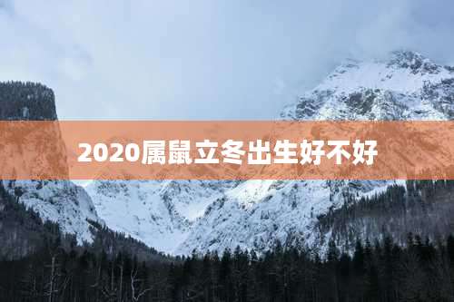 2020属鼠立冬出生好不好