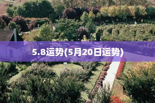 5.8运势(5月20日运势)