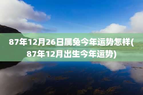 87年12月26日属兔今年运势怎样(87年12月出生今年运势)