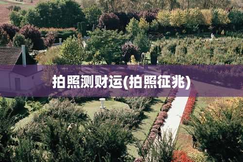 拍照测财运(拍照征兆)