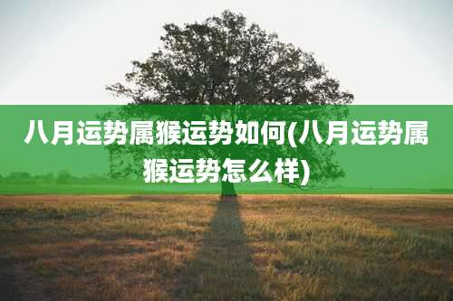 八月运势属猴运势如何(八月运势属猴运势怎么样)