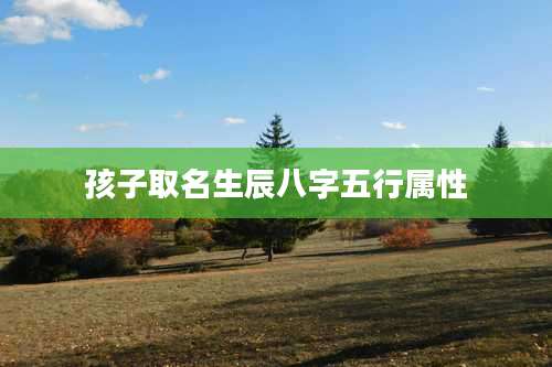 孩子取名生辰八字五行属性