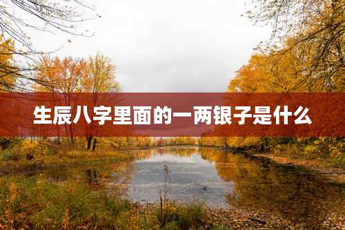 生辰八字里面的一两银子是什么