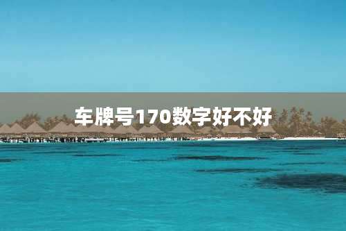 车牌号170数字好不好