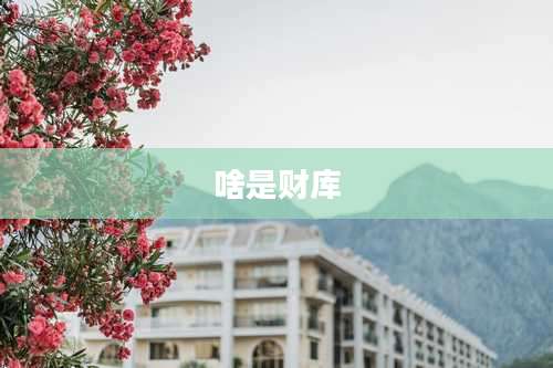 啥是财库