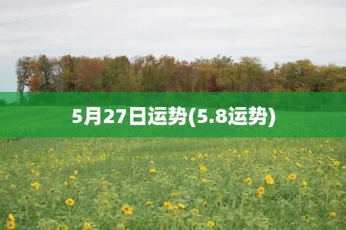 5月27日运势(5.8运势)