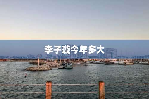 李子璇今年多大