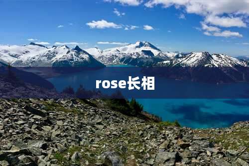rose长相