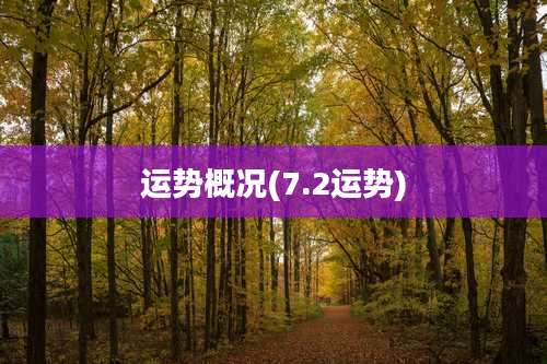 运势概况(7.2运势)