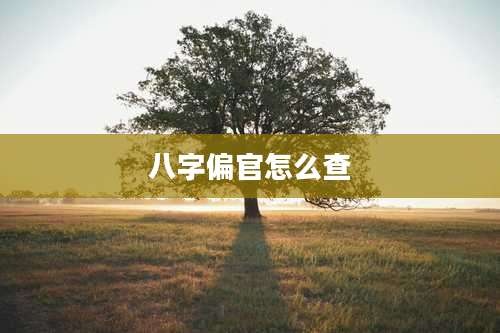 八字偏官怎么查