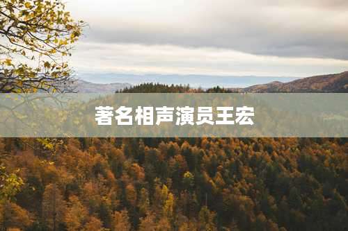 著名相声演员王宏