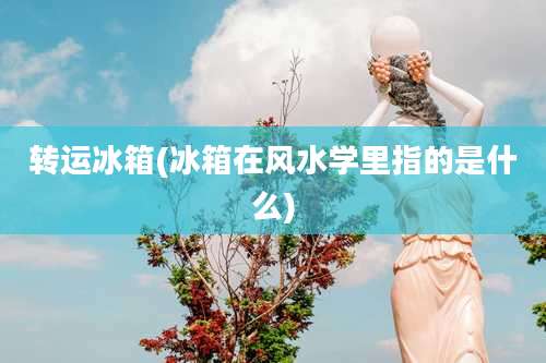 转运冰箱(冰箱在风水学里指的是什么)