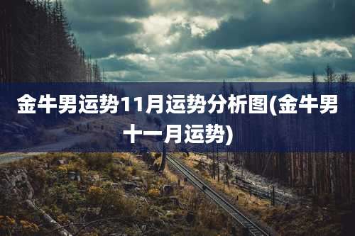 金牛男运势11月运势分析图(金牛男十一月运势)