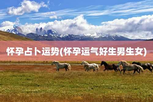 怀孕占卜运势(怀孕运气好生男生女)