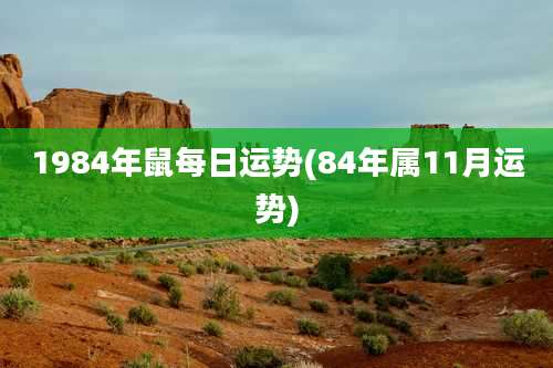 1984年鼠每日运势(84年属11月运势)