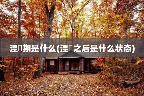 涅槃期是什么(涅槃之后是什么状态)