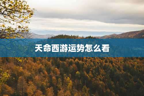 天命西游运势怎么看