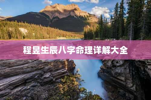 程昱生辰八字命理详解大全