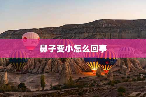 鼻子变小怎么回事