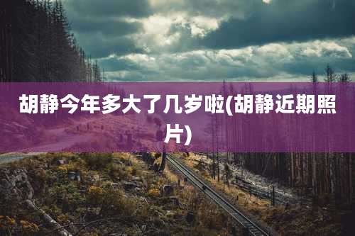 胡静今年多大了几岁啦(胡静近期照片)