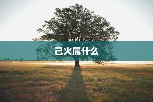 己火属什么