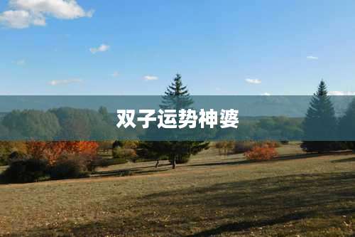 双子运势神婆