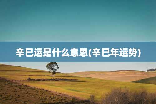 辛巳运是什么意思(辛巳年运势)