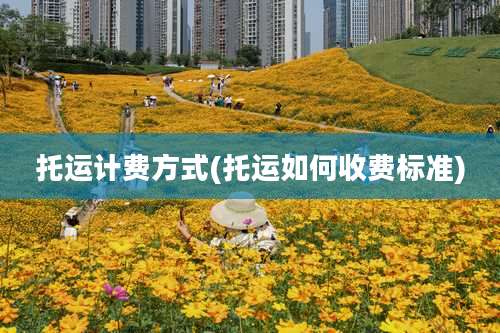 托运计费方式(托运如何收费标准)