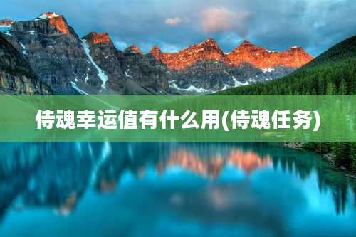 侍魂幸运值有什么用(侍魂任务)