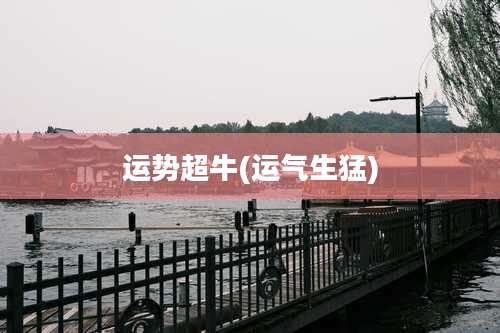 运势超牛(运气生猛)