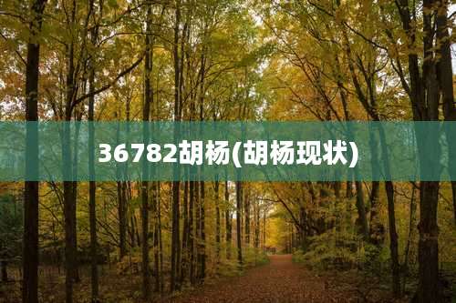 36782胡杨(胡杨现状)