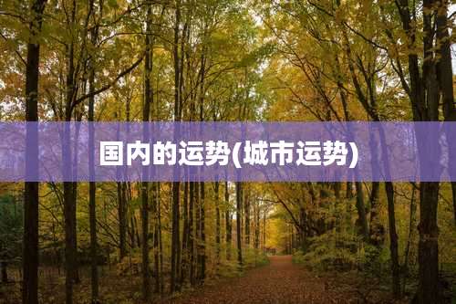 国内的运势(城市运势)