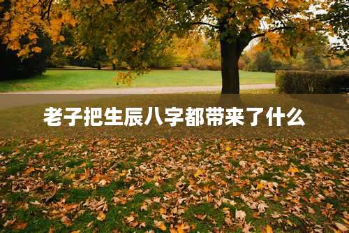 老子把生辰八字都带来了什么