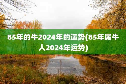85年的牛2024年的运势(85年属牛人2024年运势)