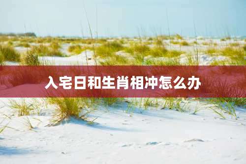 入宅日和生肖相冲怎么办