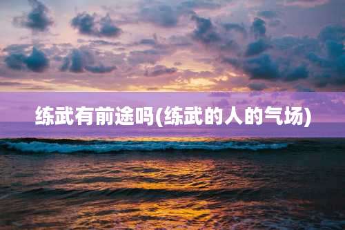 练武有前途吗(练武的人的气场)