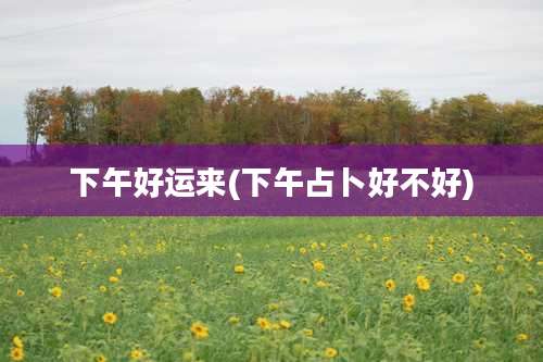 下午好运来(下午占卜好不好)