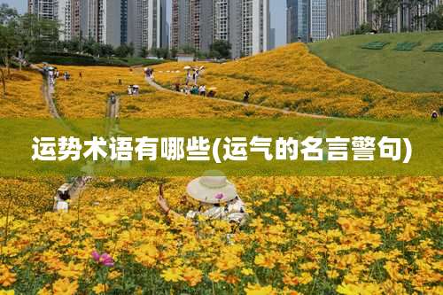 运势术语有哪些(运气的名言警句)