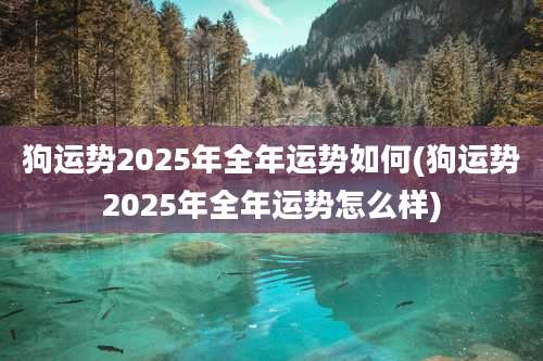 狗运势2025年全年运势如何(狗运势2025年全年运势怎么样)