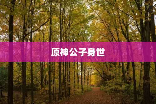 原神公子身世