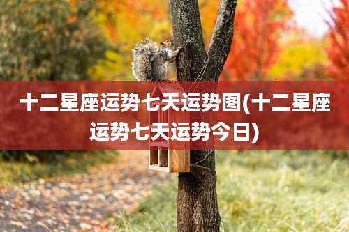 十二星座运势七天运势图(十二星座运势七天运势今日)