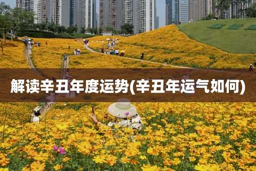 解读辛丑年度运势(辛丑年运气如何)
