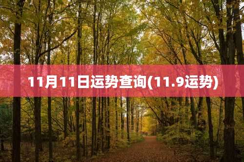 11月11日运势查询(11.9运势)