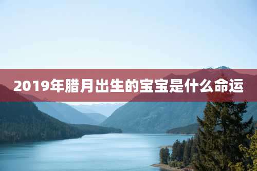 2019年腊月出生的宝宝是什么命运