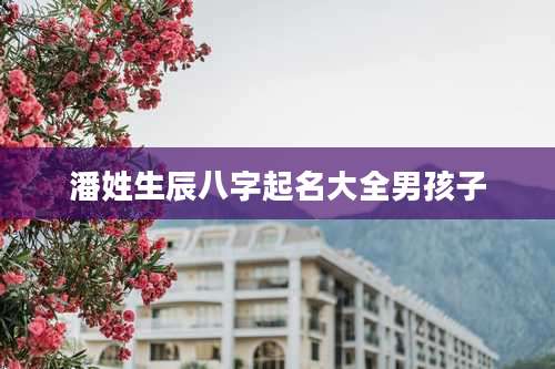 潘姓生辰八字起名大全男孩子